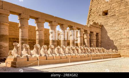 Luxor, Egitto; 23 giugno 2023 - Una fila di sfingi a testa di ariete, Tempio di Karnak, Luxor, Egitto. Foto Stock