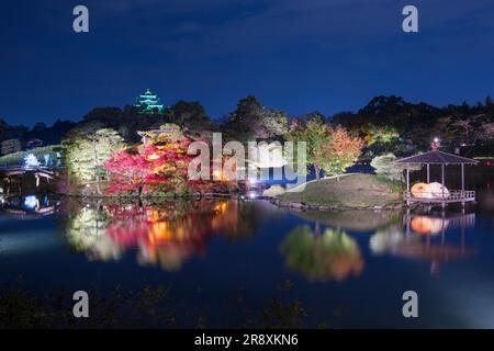 Korakuen Night View Foto Stock