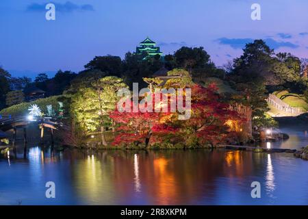 Korakuen Night View Foto Stock