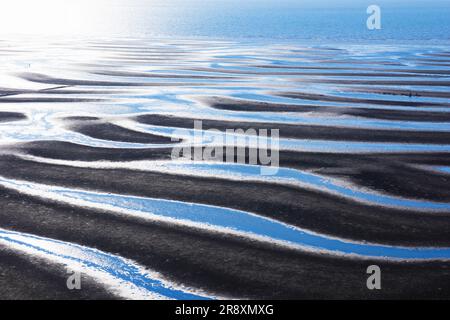 Appartamenti di fango sulla costa di Mikoshiorai Foto Stock