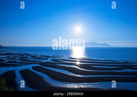 Appartamenti di fango sulla costa di Mikoshiorai Foto Stock