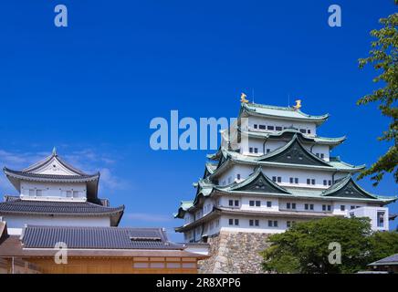 Castello di Nagoya Foto Stock