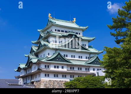Castello di Nagoya Foto Stock