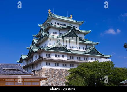 Castello di Nagoya Foto Stock
