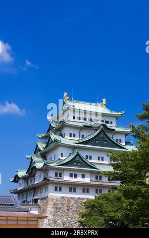 Castello di Nagoya Foto Stock