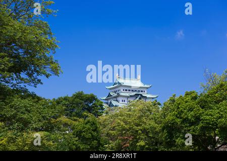 Castello di Nagoya Foto Stock