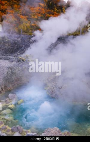 La sorgente termale Tamagawa di foglie autunnali Foto Stock