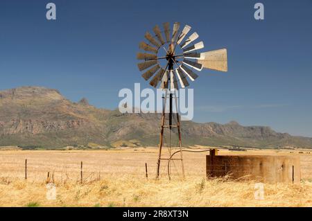 Ruota a vento nei campi con catena montuosa nella parte posteriore vicino a Piketberg, Capo Occidentale, Sudafrica Foto Stock