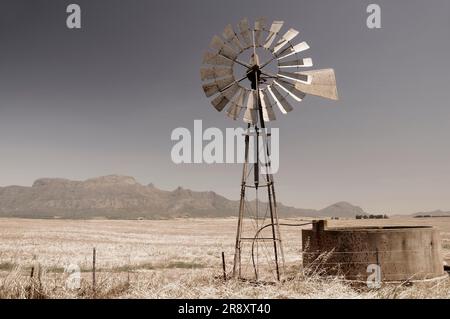 Ruota a vento nei campi con catena montuosa nella parte posteriore vicino a Piketberg, Capo Occidentale, Sudafrica Foto Stock