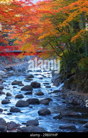 Shuzenji Onsen in foglie autunnali Foto Stock