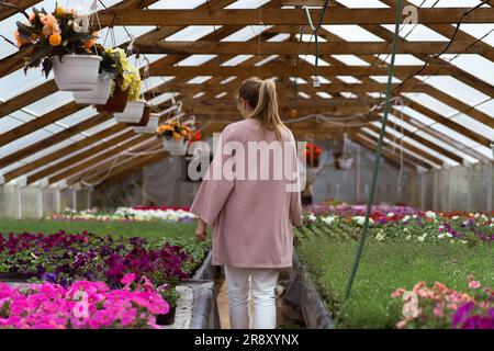 Una giovane donna lavora in una serra di fiori. Foto Stock