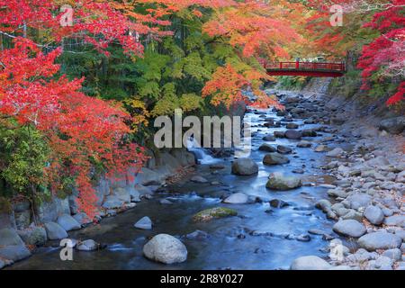 Shuzenji Onsen in foglie autunnali Foto Stock