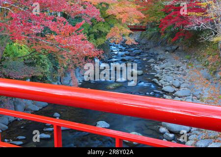 Shuzenji Onsen in foglie autunnali Foto Stock