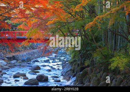 Shuzenji Onsen in foglie autunnali Foto Stock