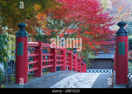 Shuzenji Onsen in foglie autunnali Foto Stock