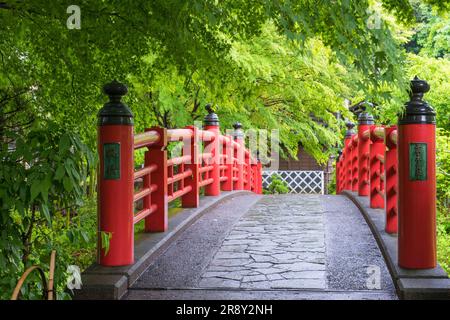 Sorgenti termali di Shuzenji Foto Stock