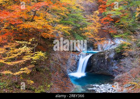 Cascate Ryujin nella valle di Nishizawa Foto Stock