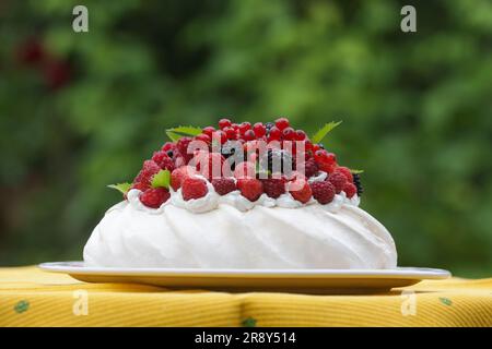 Pavlova cake - un dessert a base di meringa con fragole, more, lamponi e foglie di menta Foto Stock