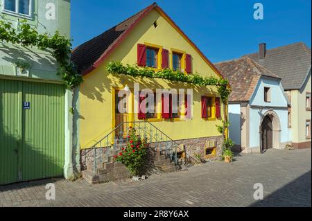 Case tipiche nella storica Theresienstrasse, Rhodt unter Rietburg, Palatinato, Renania-Palatinato, Germania, Europa Foto Stock