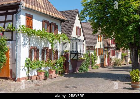 Case tipiche nella storica Theresienstrasse, Rhodt unter Rietburg, Palatinato, Renania-Palatinato, Germania, Europa Foto Stock