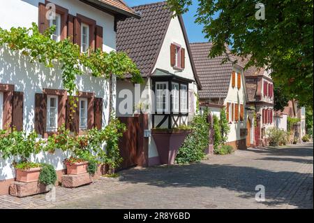 Case tipiche nella storica Theresienstrasse, Rhodt unter Rietburg, Palatinato, Renania-Palatinato, Germania, Europa Foto Stock