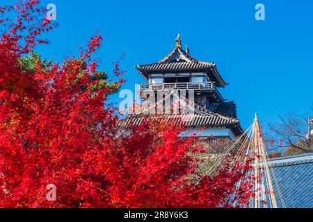 Castello di Maruoka in autunno Foto Stock