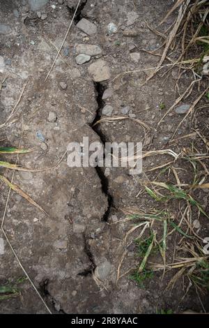 Macchie di terra incrinate in campi di grano a causa della lunga siccità. Vista dall'alto, niente persone. Foto Stock