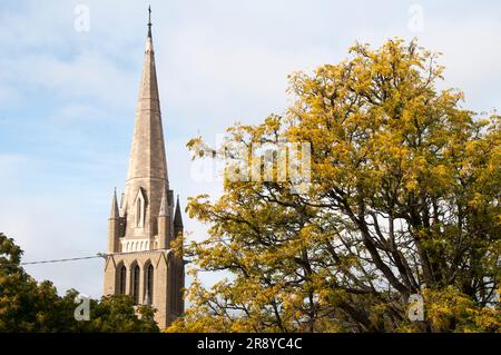 Guglia della Cattedrale del Sacro cuore nella città dei campi d'oro di Bendigo, Victoria, Australia Foto Stock
