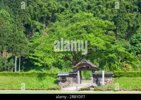 Rovine di Ichijodani Asakura Clan Foto Stock