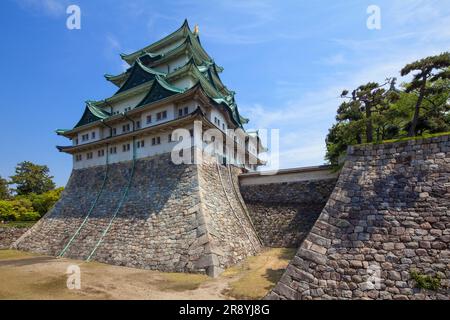 Torre del Castello di Nagoya nel verde fresco Foto Stock