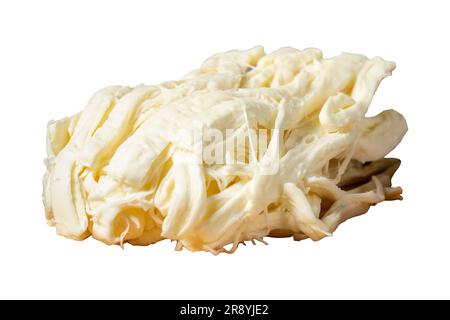 Formaggio a corda o formaggio Cecil isolato su fondo bianco. Prodotti lattiero-caseari Foto Stock