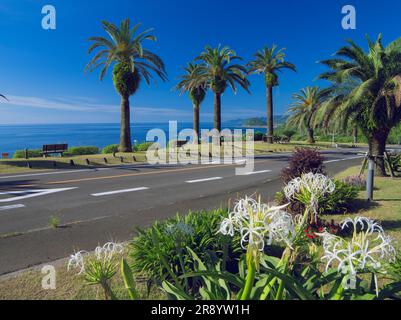 Horikiritouge con fiori di crinum e National Highway No. 220 Foto Stock