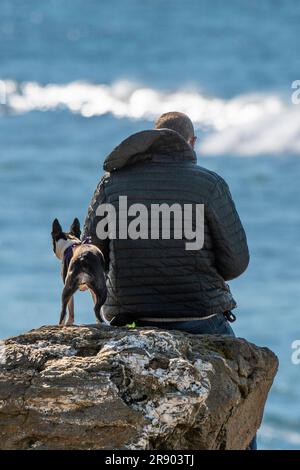 Vista posteriore di un uomo seduto su una roccia con il suo cane domestico che si affaccia sul mare a Fistral a Newquay, in Cornovaglia, nel Regno Unito. Foto Stock