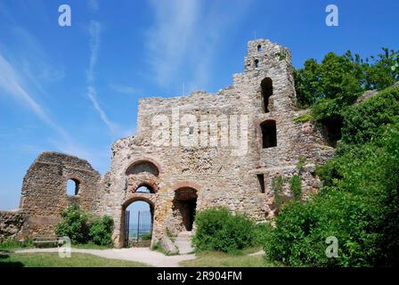 Rovine del castello di Staufen (Breisgau) (Germania) Foto Stock