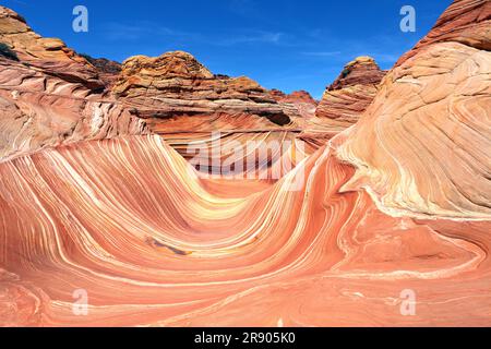 Die Welle, Coyote Butte North, Vermillion Cliffs Wilderness, Arizona, USA Foto Stock