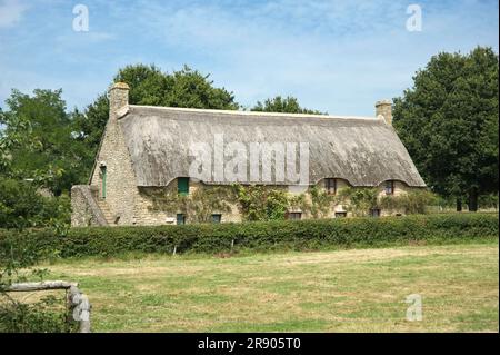 Casa con tetto in paglia, grande, Kerhinet, Briere Regional Nature Park, Loire Atlantique, Pays de Loire, Francia Foto Stock
