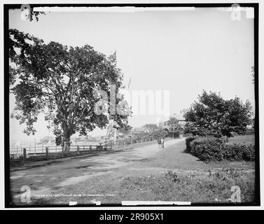 Eastern Yacht Club, Marblehead, Massachusetts, c1906. Foto Stock