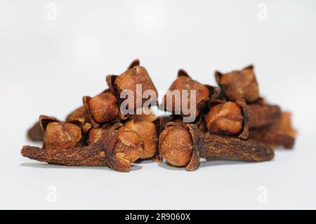 Chiodi di garofano (Syzygium aromaticum), guanto, guanto, chiodi di garofano Foto Stock