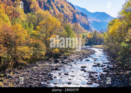 Sounkyo e Ishikari gawa in foglie autunnali Foto Stock