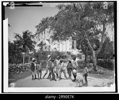 Rottami di strada a Grant's Town, Nassau, W.I., c1901. Foto Stock