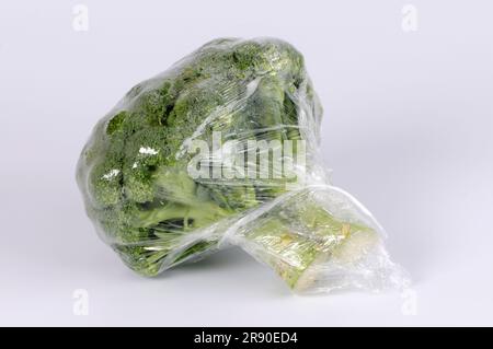 Broccoli (Brassica oleracea var. italica) in pellicola plastica, pellicola, pellicola Foto Stock