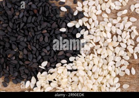 Sesamo bianco e semi di sesamo nero - Sesamum indicum Foto stock - Alamy