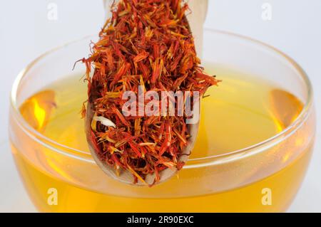 Tazza con tè di carthami Flos, Hong Hua, fiori di cartamo, tè di cartamo Foto Stock