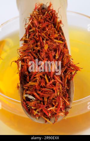 Tazza con tè di carthami Flos, Hong Hua, fiori di cartamo, tè di cartamo Foto Stock