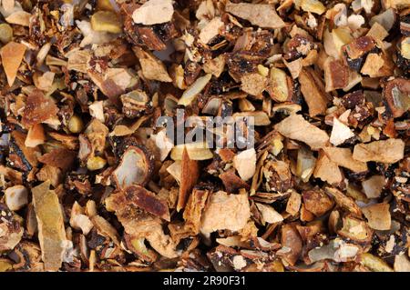 Frutta di cetriolo di serpente (Trichosanthis Fructus), Gua Lou Foto Stock