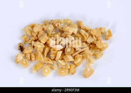 Radice di vite campana (Codonopsis Radix), Dang Shen, ritaglio, oggetto Foto Stock