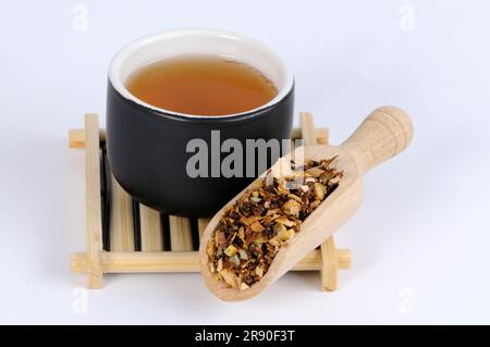 Tazza di tè alla frutta di zucca serpente (Trichosanthis Fructus), tè alla frutta di zucca serpente, Gua Lou Foto Stock