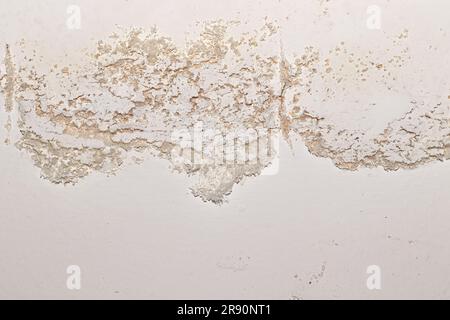 L'efflorescenza interna sulla superficie dell'edificio di umidità mostra depositi di sale minerale cristallino che causano danni alla vernice delle pareti interne Foto Stock