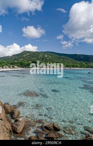 Plage de Palombaggia, Strand, spiaggia, Porto Vecchio, Corse-du-Sud, Korsika, Frankreich, Europa Foto Stock