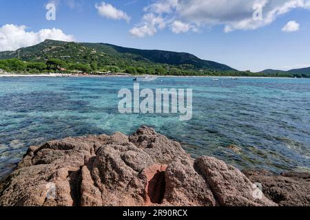 Plage de Palombaggia, Strand, spiaggia, Porto Vecchio, Corse-du-Sud, Korsika, Frankreich, Europa Foto Stock